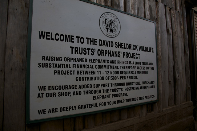 David Sheldrick Wildlife Trusts' Orphans' Project