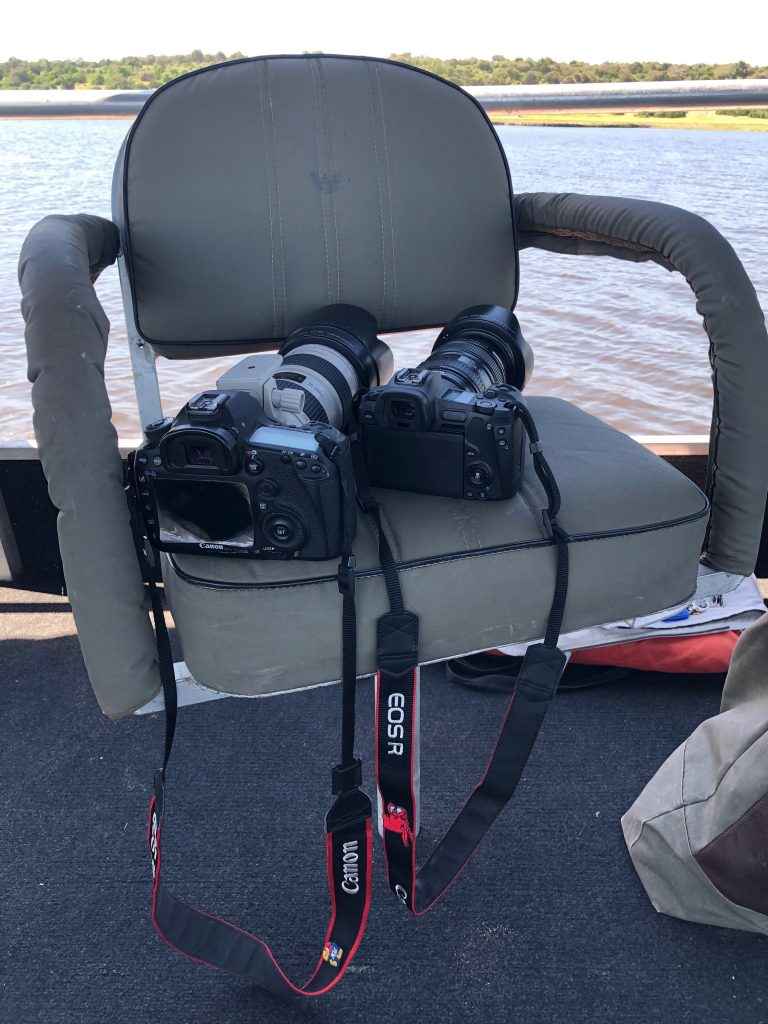 Cameras for Chobe River safari.