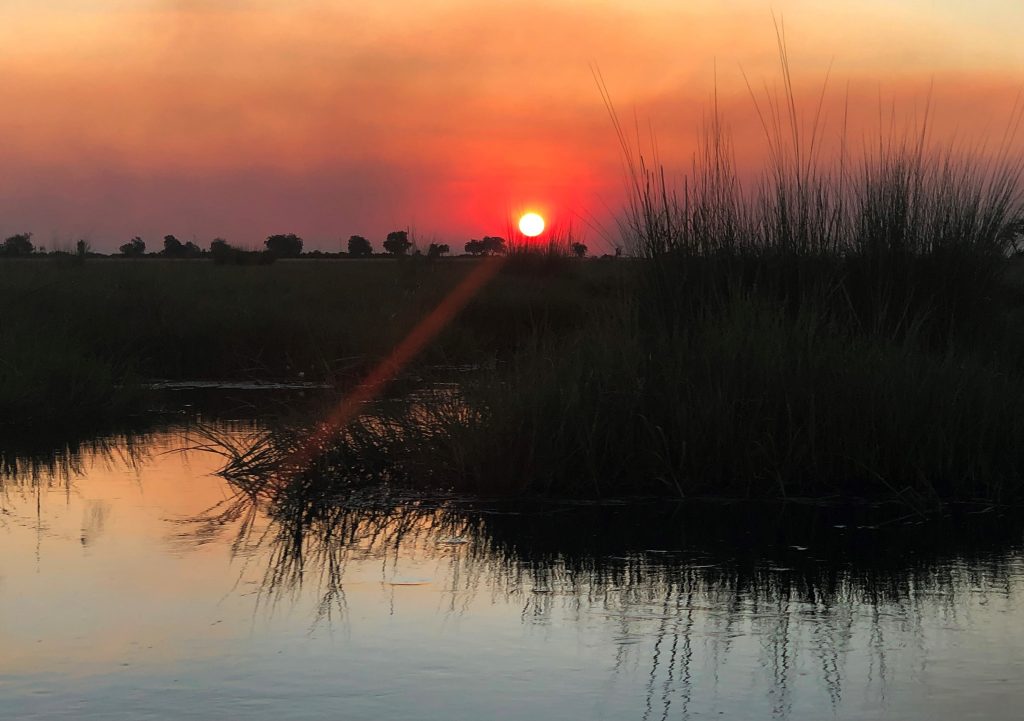 Duba Plains sun setting over swamp