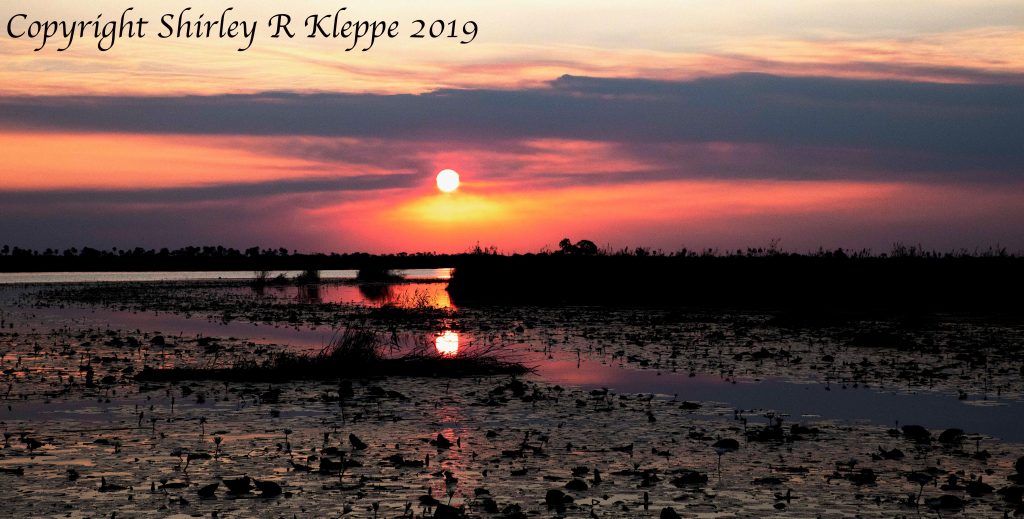 Zarafa boat cruise sunset